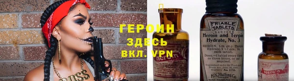 индика Арсеньев