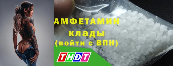 индика Арсеньев