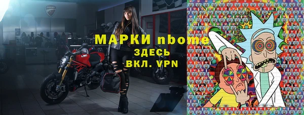 индика Арсеньев