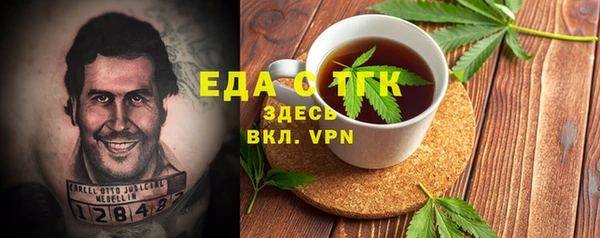 индика Арсеньев