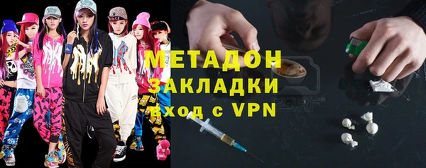индика Арсеньев